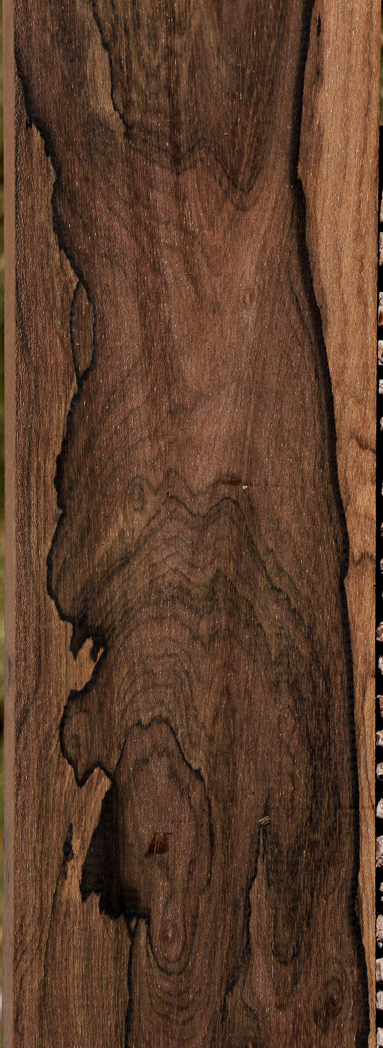 Ziricote Instrument Lumber – Cook Woods