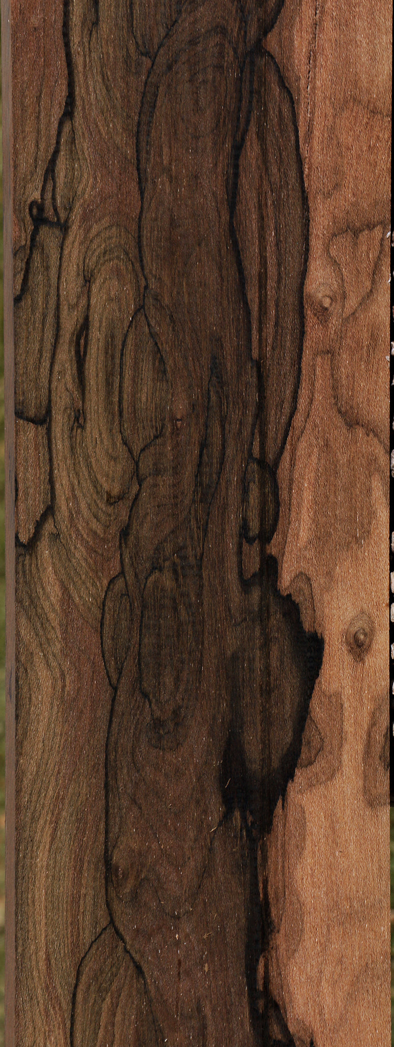 Ziricote Instrument Lumber – Cook Woods