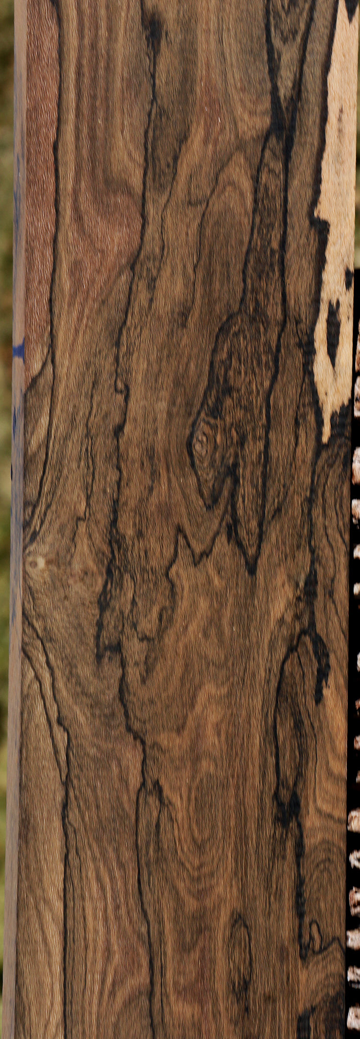 Ziricote Instrument Lumber – Cook Woods