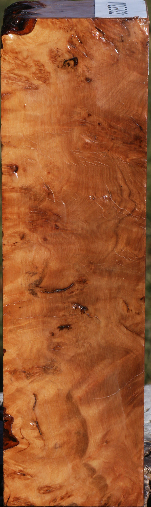 Extra Fancy Hopea Stone Burl Turning Square