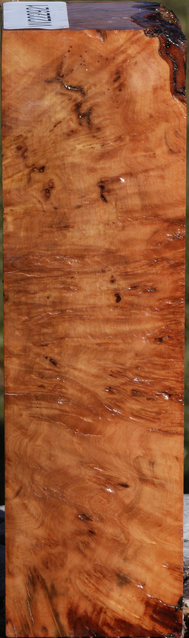 Extra Fancy Hopea Stone Burl Turning Square
