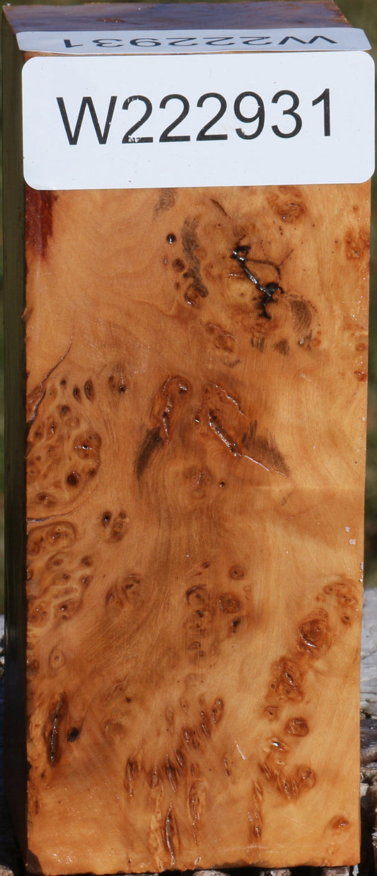 Extra Fancy Hopea Stone Burl Turning Square