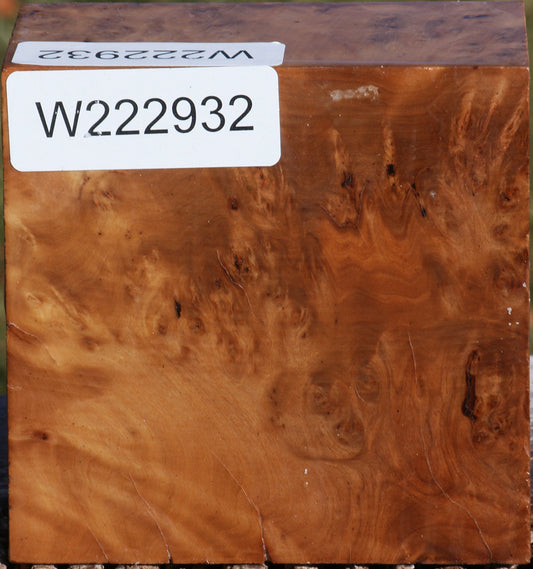 Hopea Stone Burl Bowl Blank