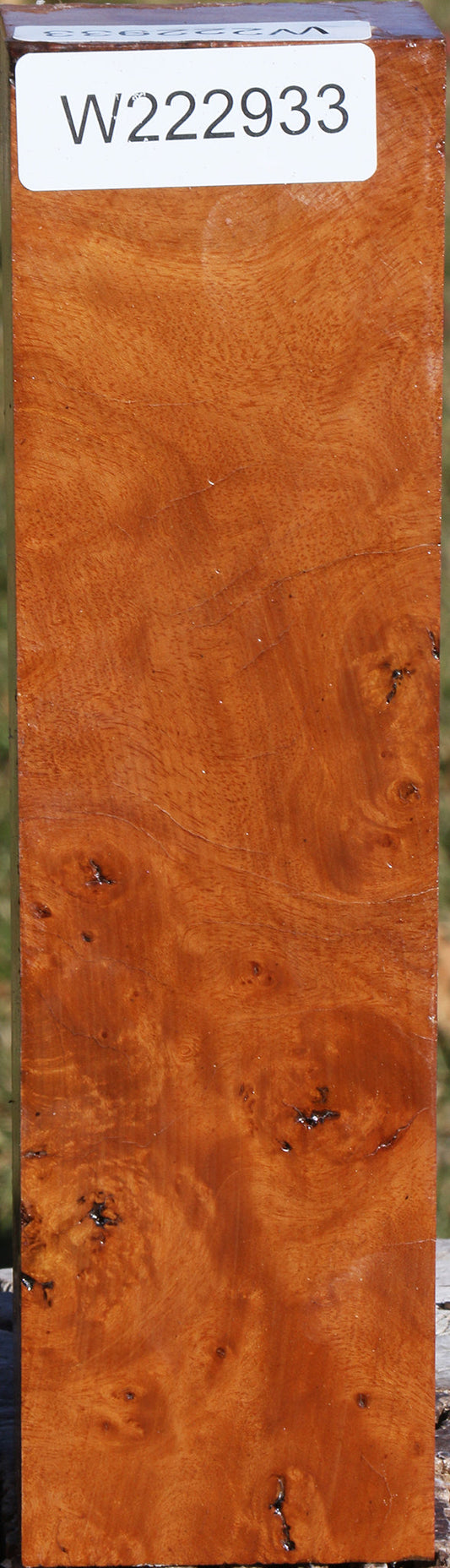Hopea Stone Burl Turning Blank