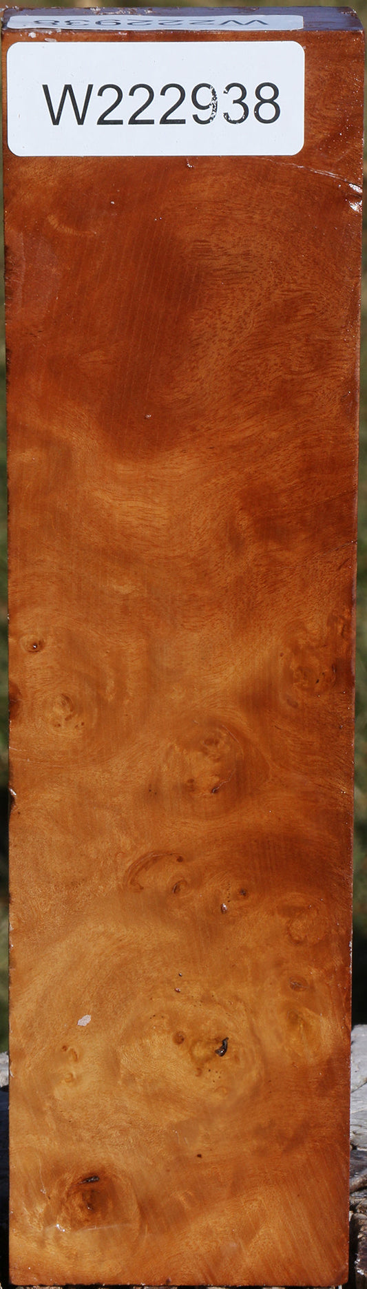 Hopea Stone Burl Turning Blank