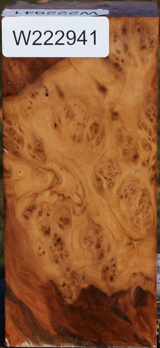 Extra Fancy Hopea Stone Burl Turning Blank