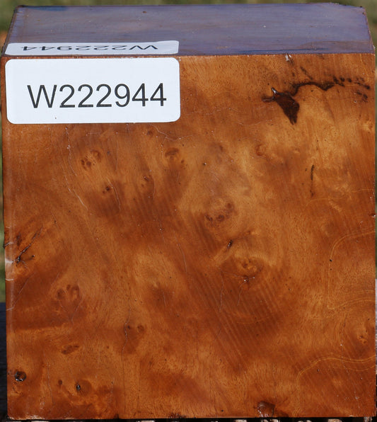 Figured Hopea Stone Burl Bowl Blank