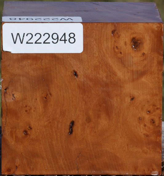 Hopea Stone Burl Bowl Blank