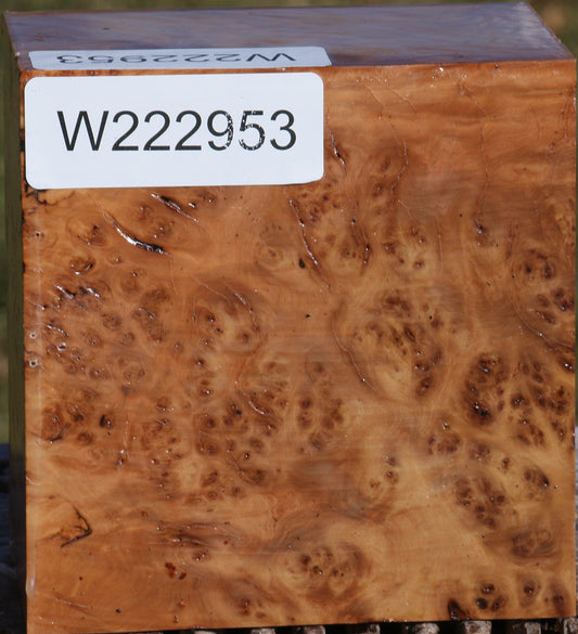 Hopea Stone Burl Bowl Blank