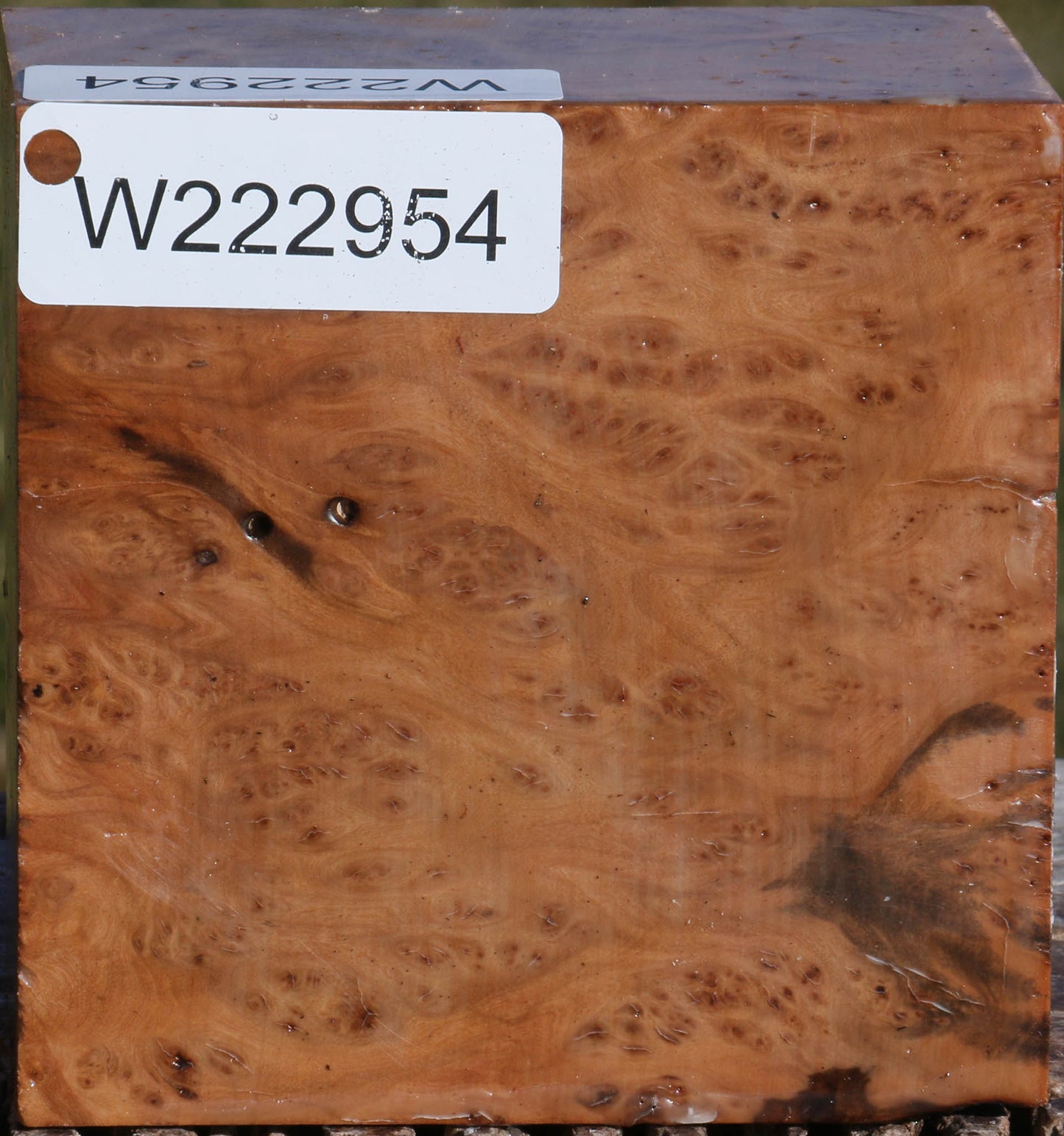 Hopea Stone Burl Bowl Blank