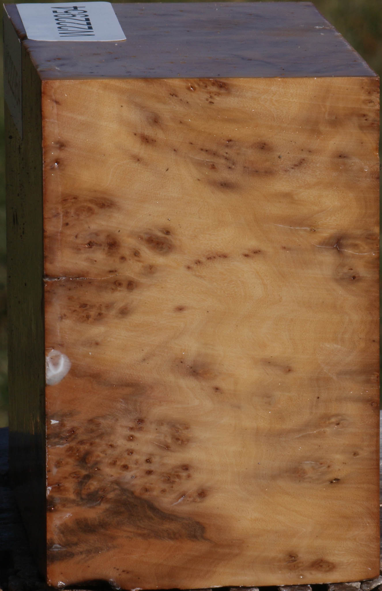 Hopea Stone Burl Bowl Blank