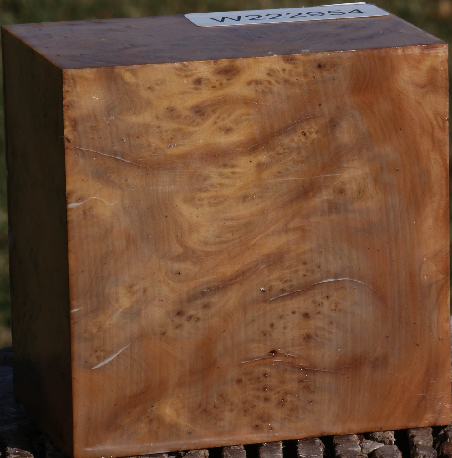 Hopea Stone Burl Bowl Blank