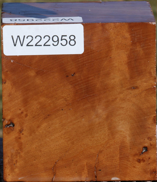 Hopea Stone Bowl Blank