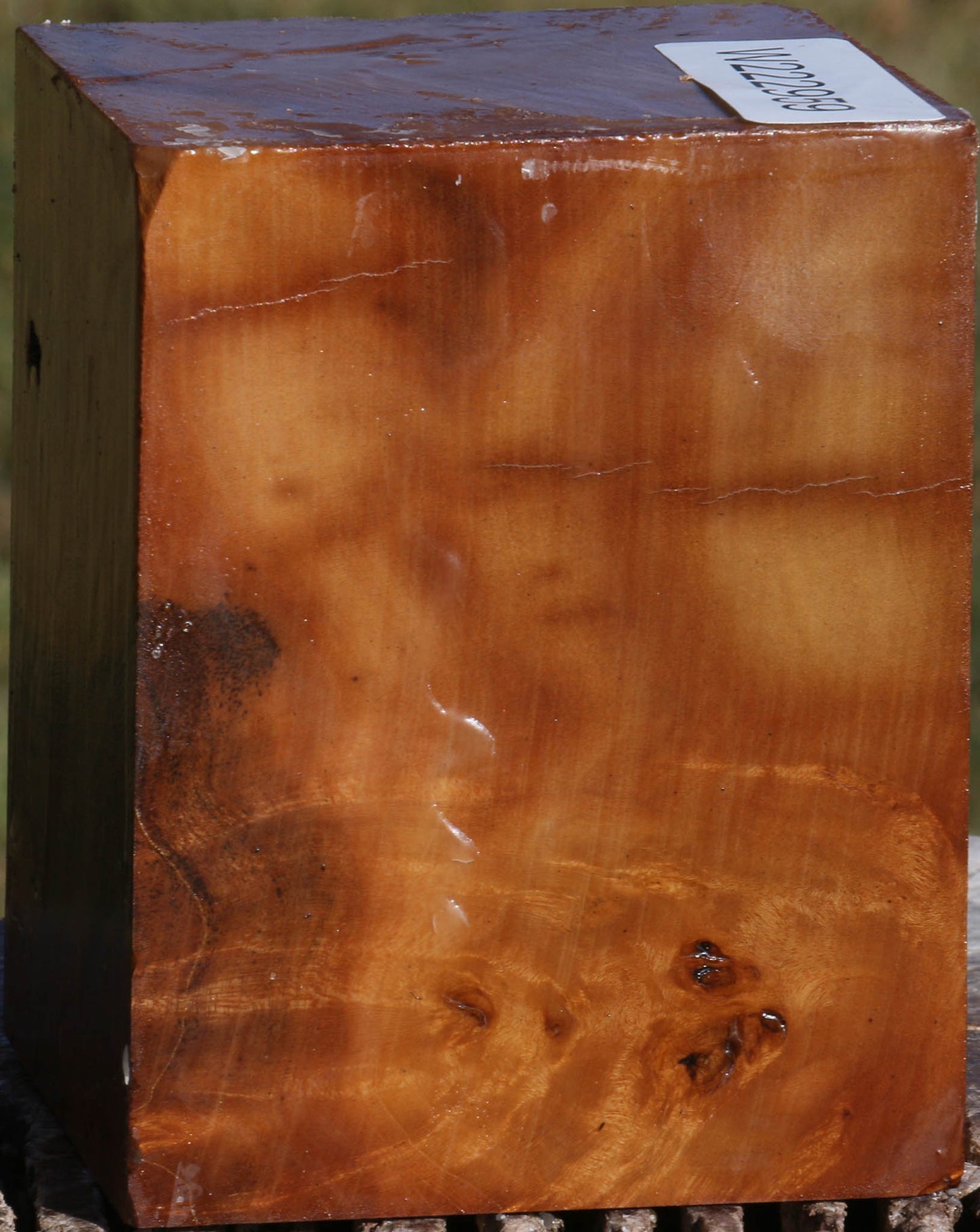 Hopea Stone Burl Turning Square
