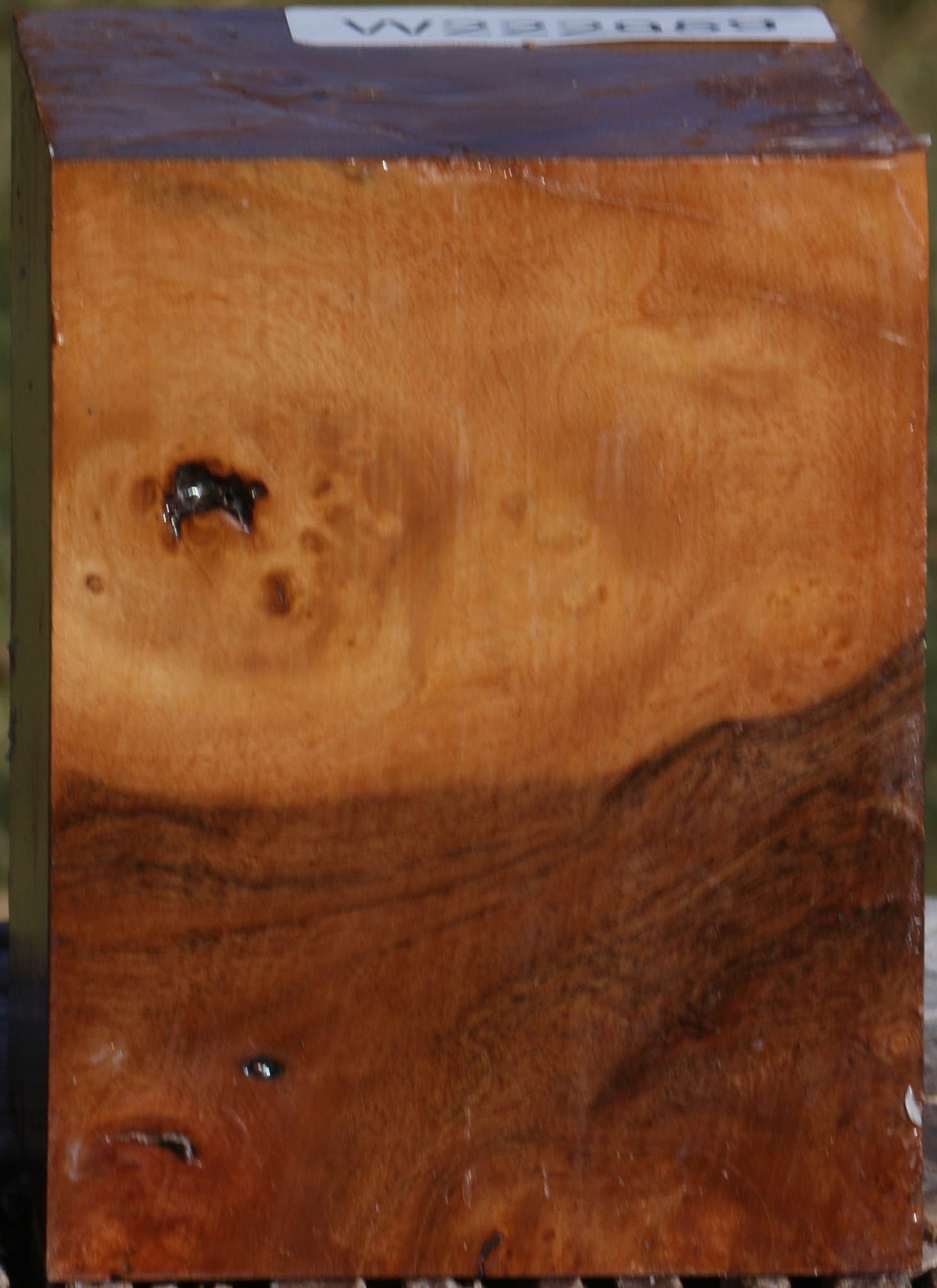Hopea Stone Burl Turning Square