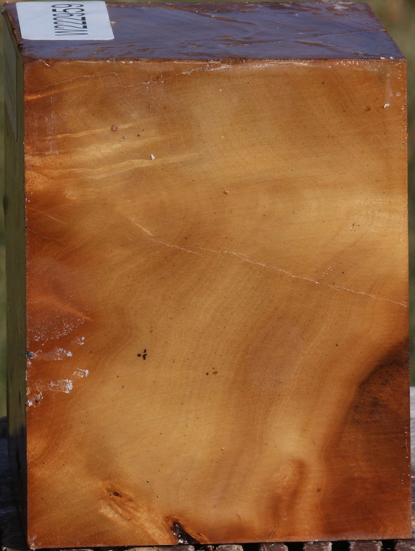 Hopea Stone Burl Turning Square