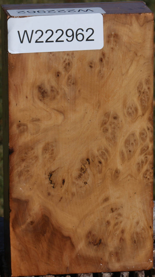 Hopea Stone Burl Turning Blank