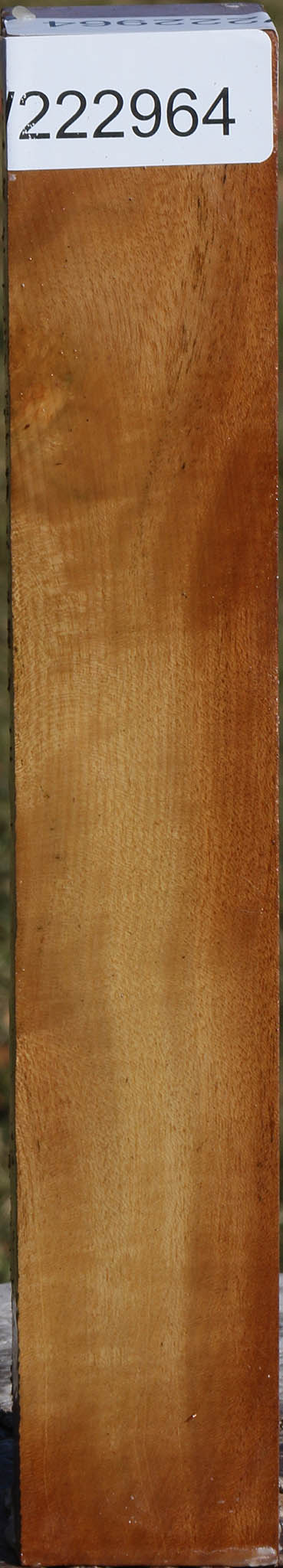 Figured Hopea Stone Turning Square