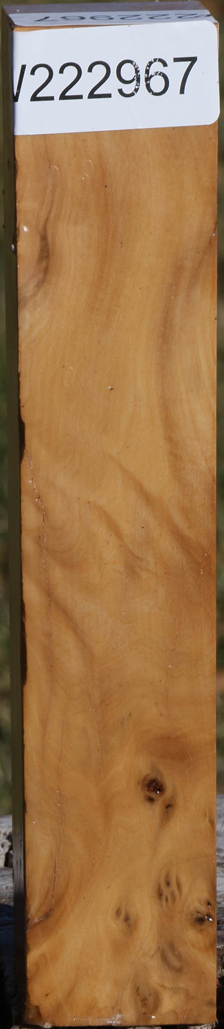 Hopea Stone Turning Square