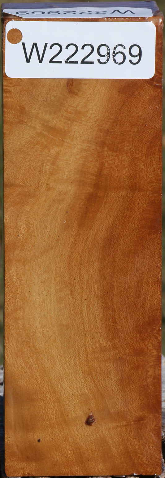 Figured Hopea Stone Turning Blank