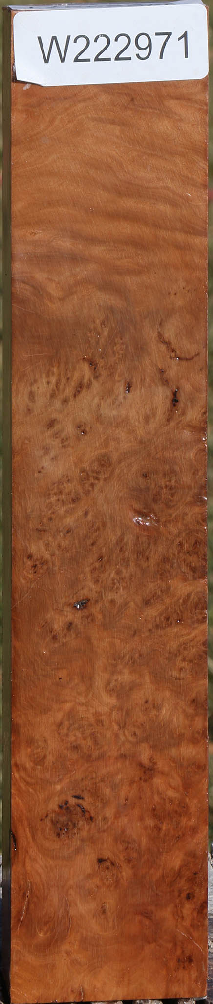 Extra Fancy Hopea Stone Burl Turning Blank