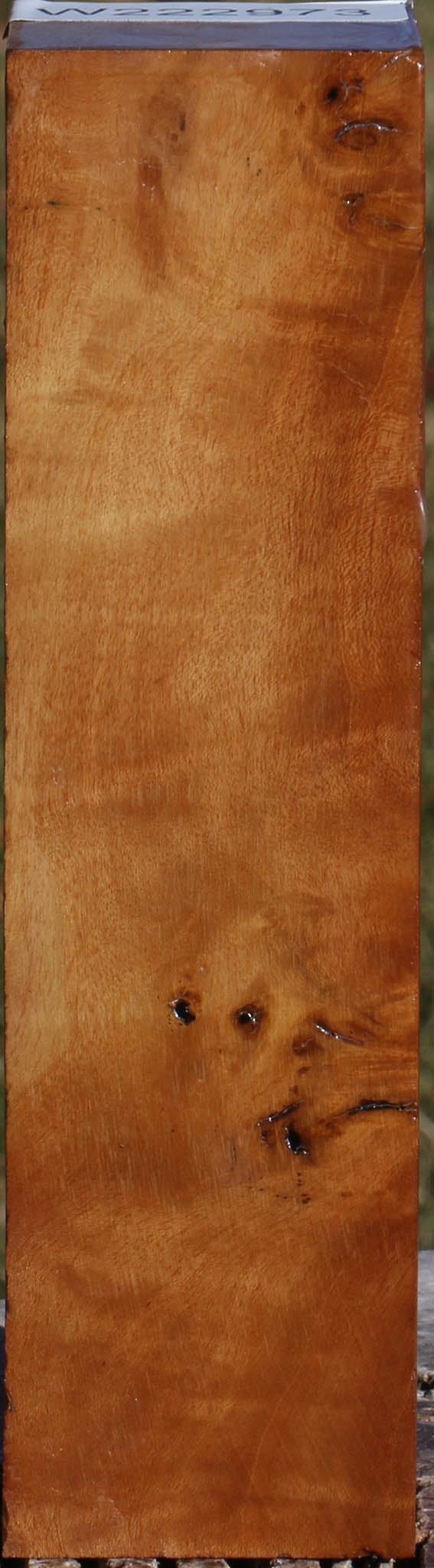 Figured Hopea Stone Turning Square