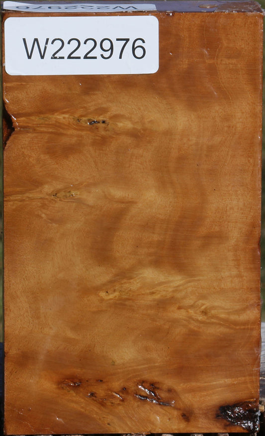 Hopea Stone Burl Lumber