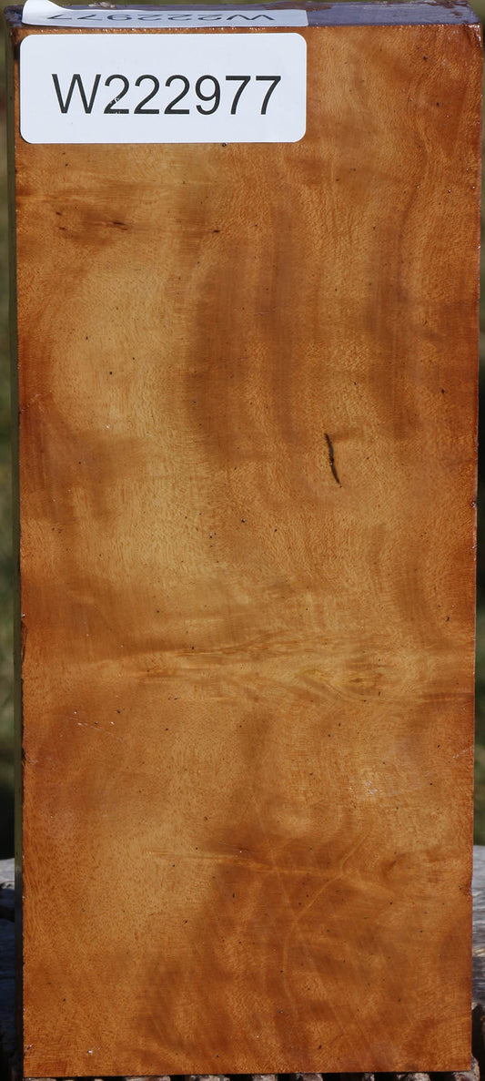 Figured Hopea Stone Lumber