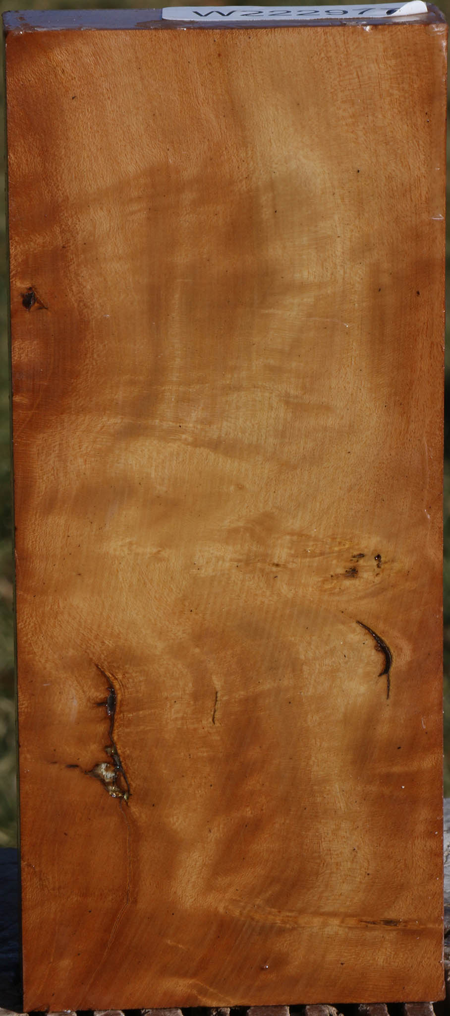 Figured Hopea Stone Lumber