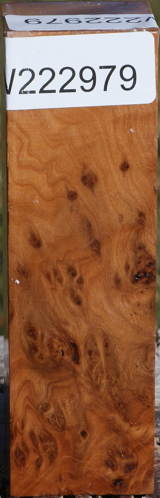 Hopea Stone Burl Turning Square