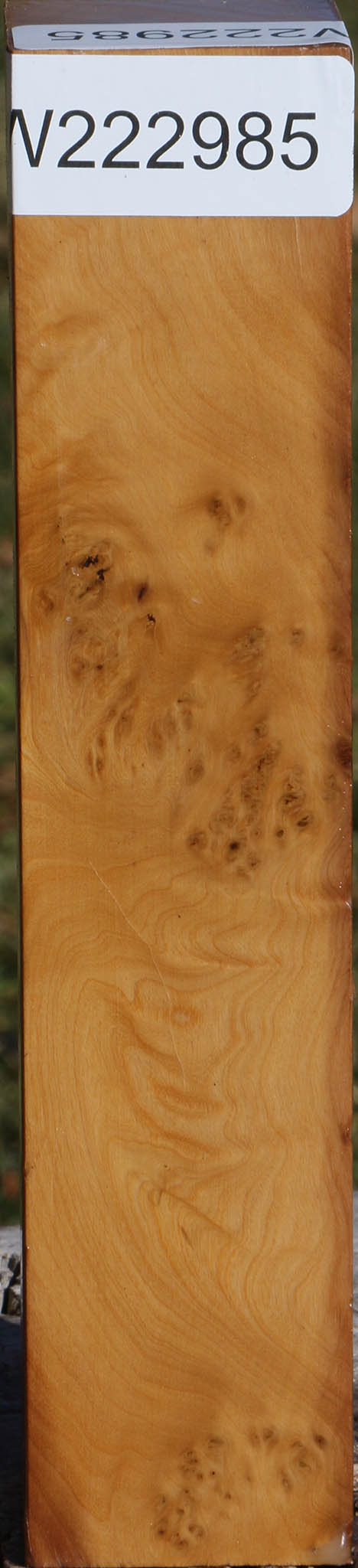 Hopea Stone Burl Turning Square