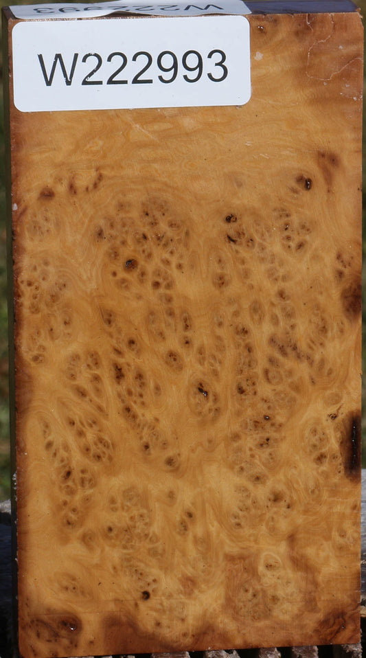 Extra Fancy Hopea Stone Burl Lumber