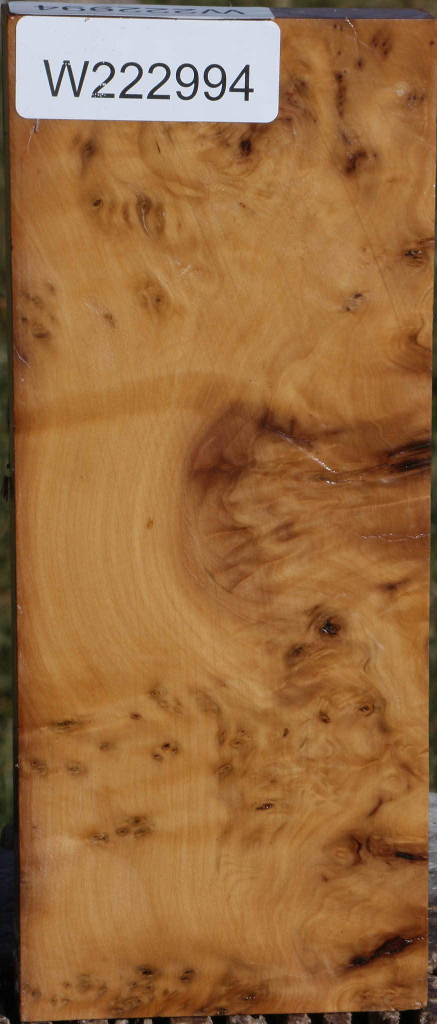 Hopea Stone Burl Lumber