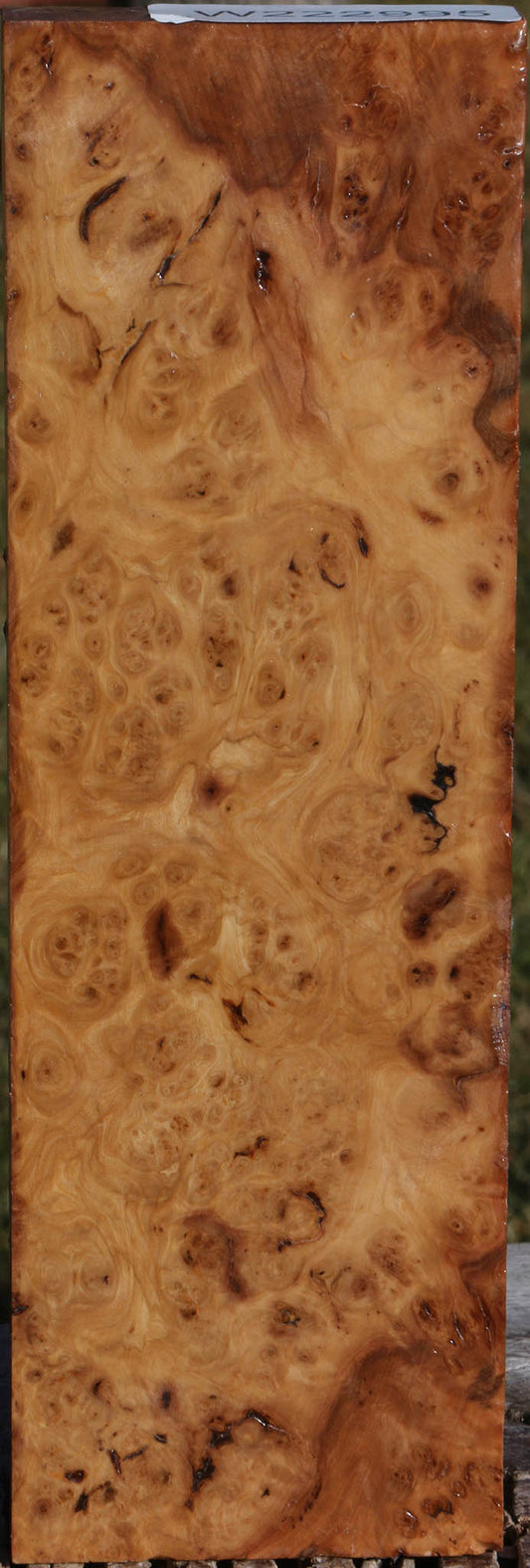 Extra Fancy Hopea Stone Burl Lumber