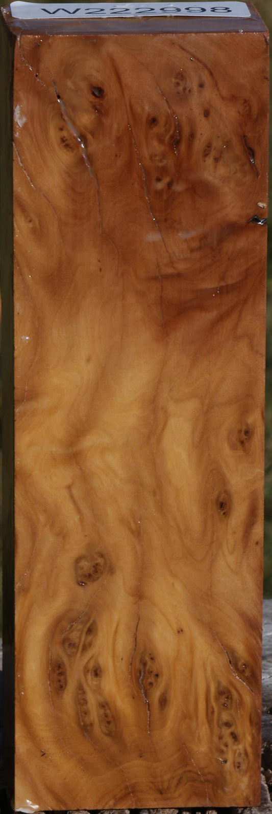Hopea Stone Burl Turning Blank