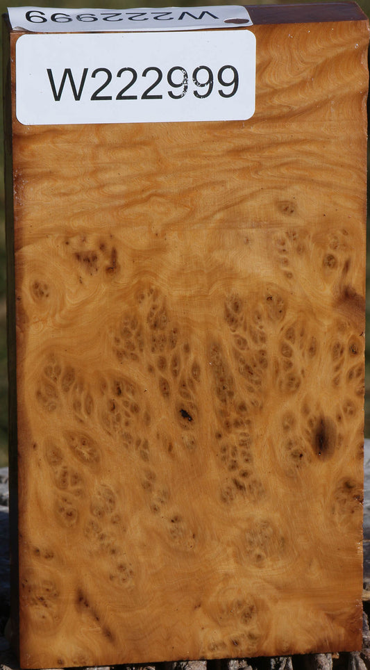 Extra Fancy Hopea Stone Burl Lumber