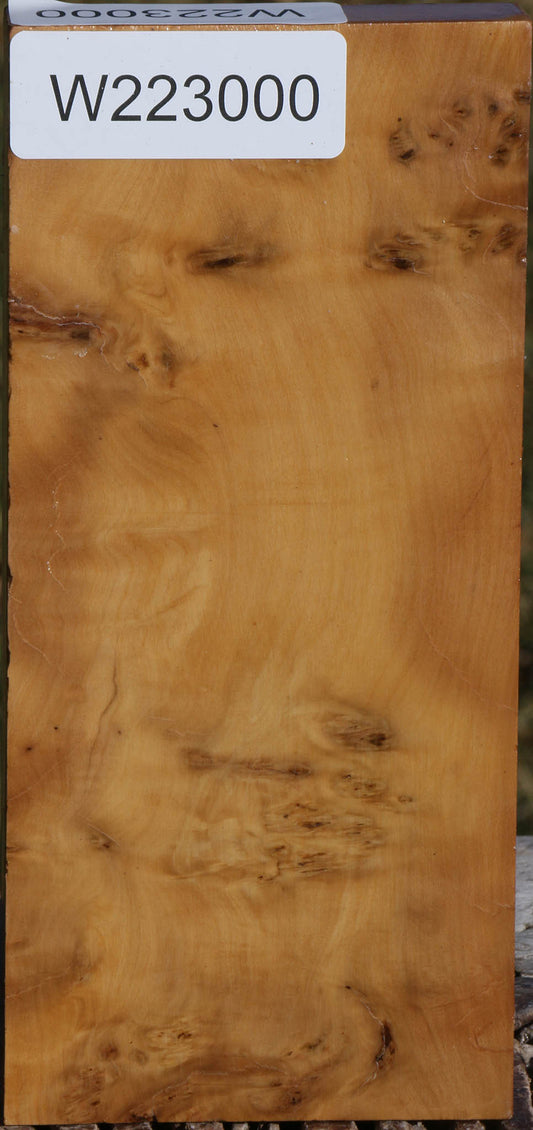 Hopea Stone Burl Lumber