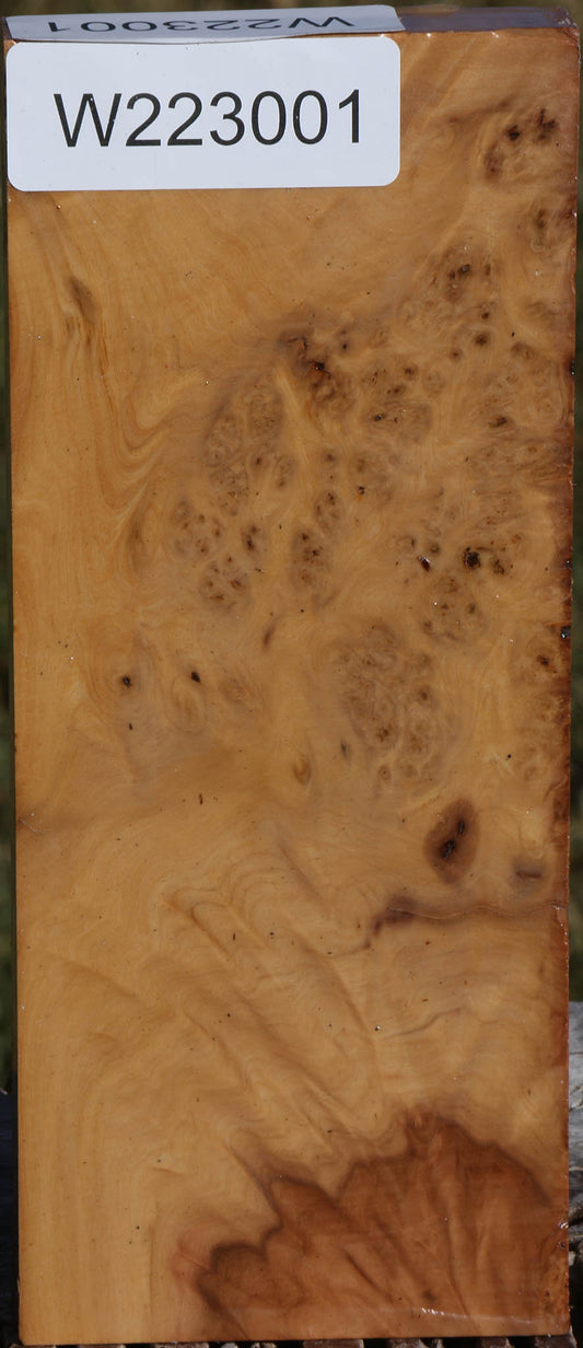 Hopea Stone Burl Lumber