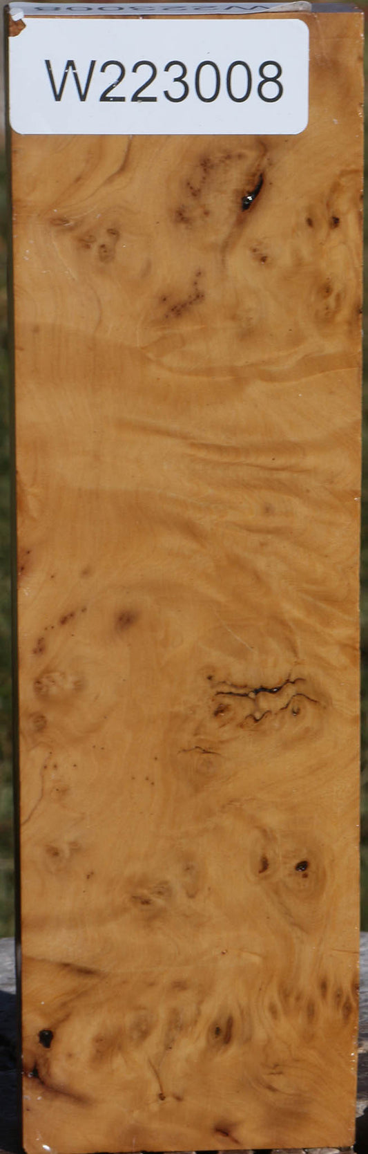 Hopea Stone Burl Lumber