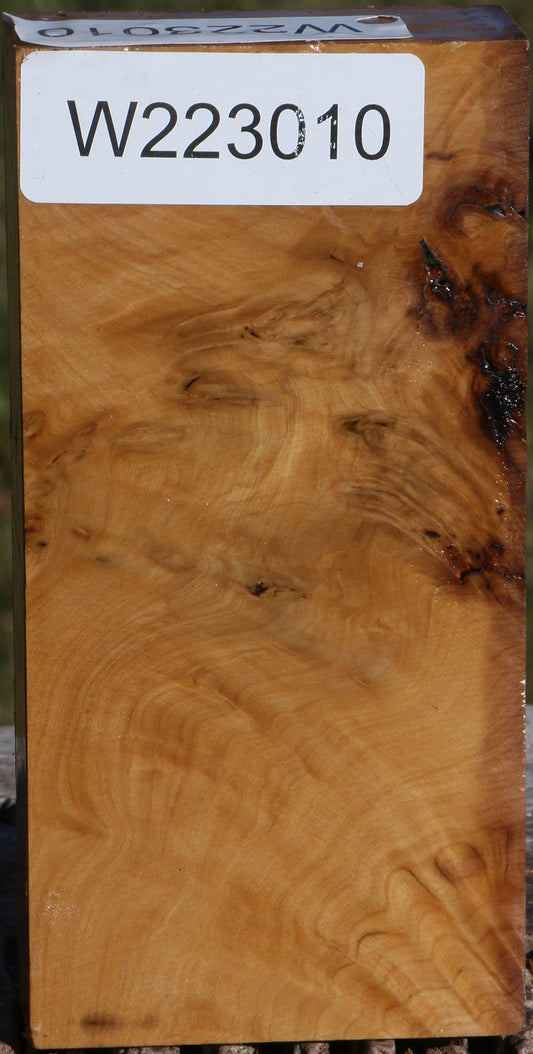 Hopea Stone Burl Lumber