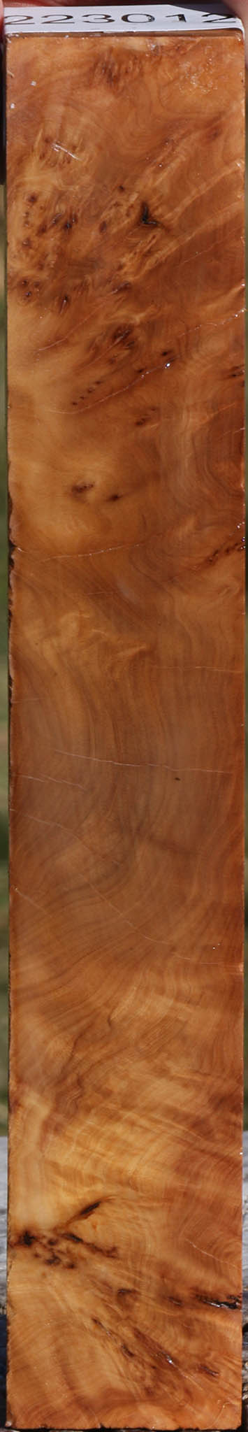 Hopea Stone Burl Lumber