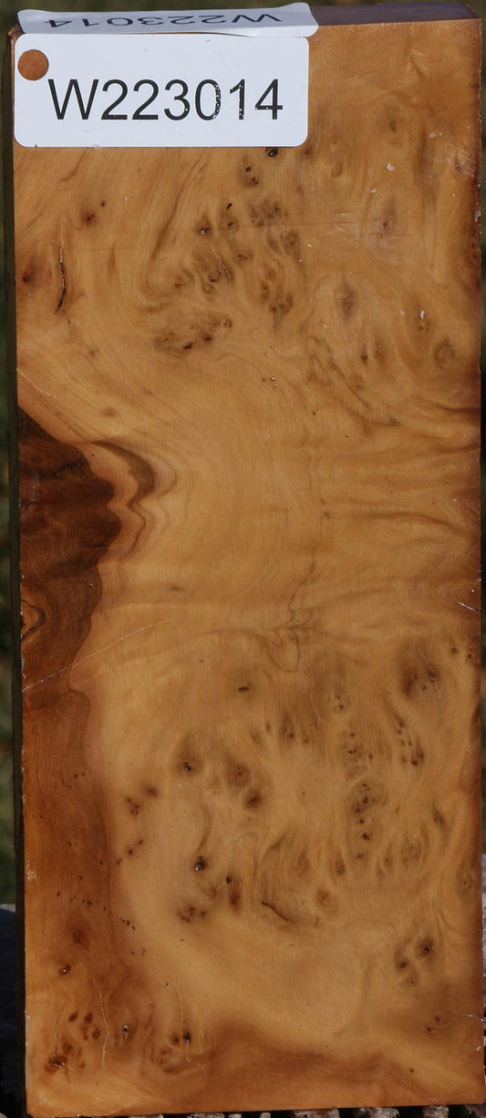 Hopea Stone Burl Lumber