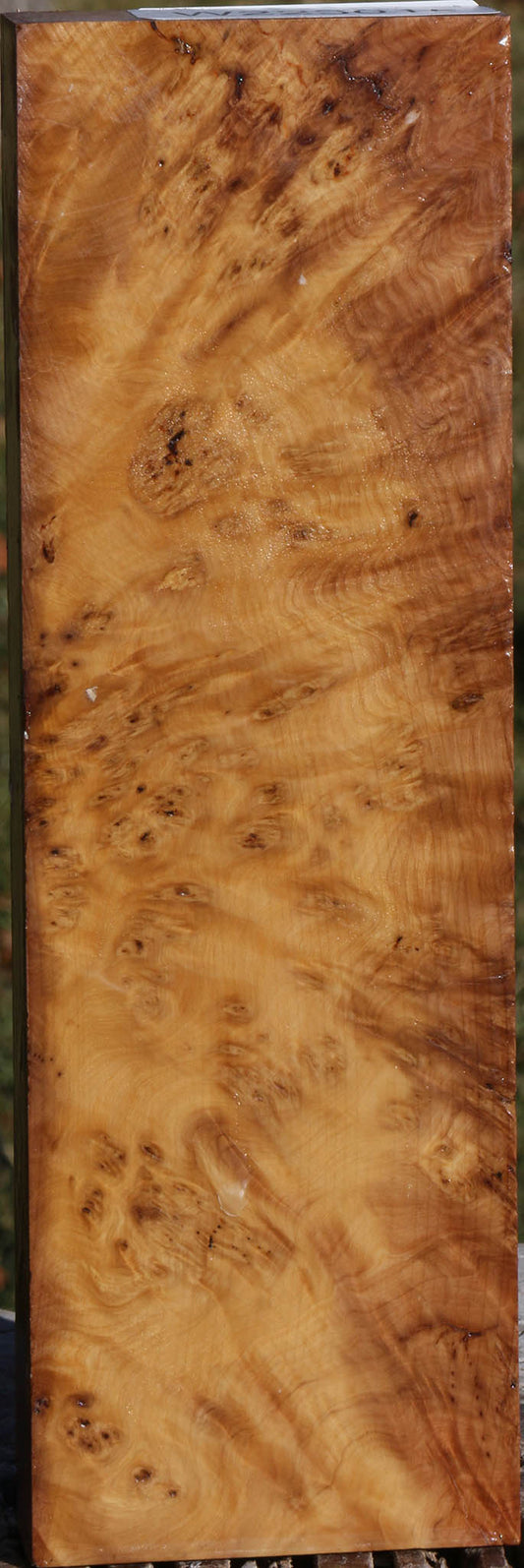 Extra Fancy Hopea Stone Burl Lumber