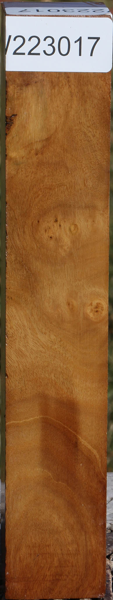 Hopea Stone Turning Square