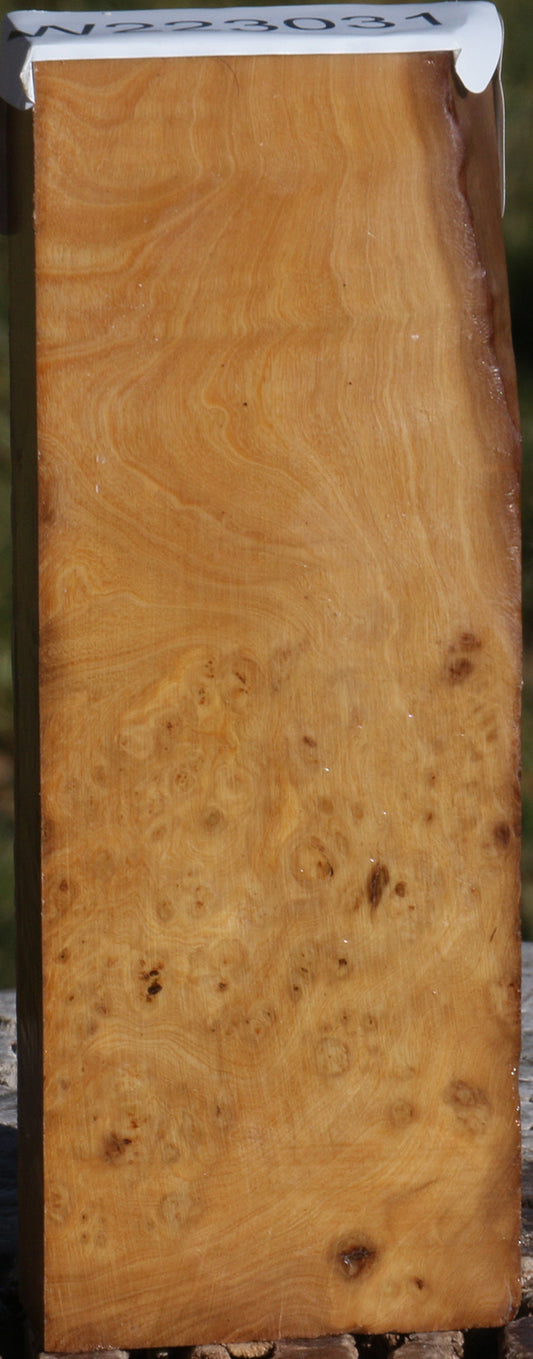 Hopea Stone Burl Lumber