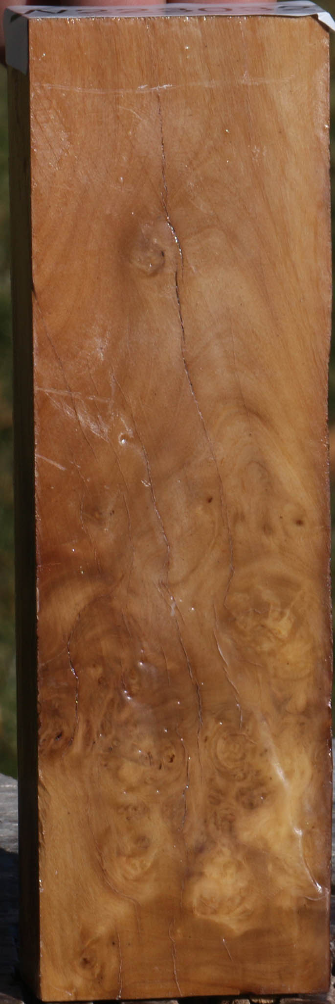Hopea Stone Burl Lumber