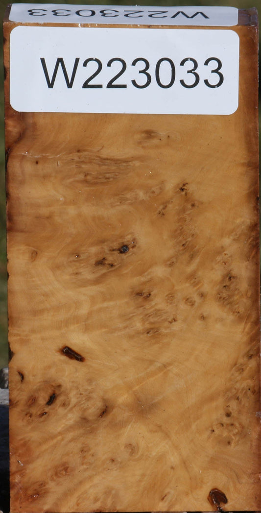 Hopea Stone Burl Lumber