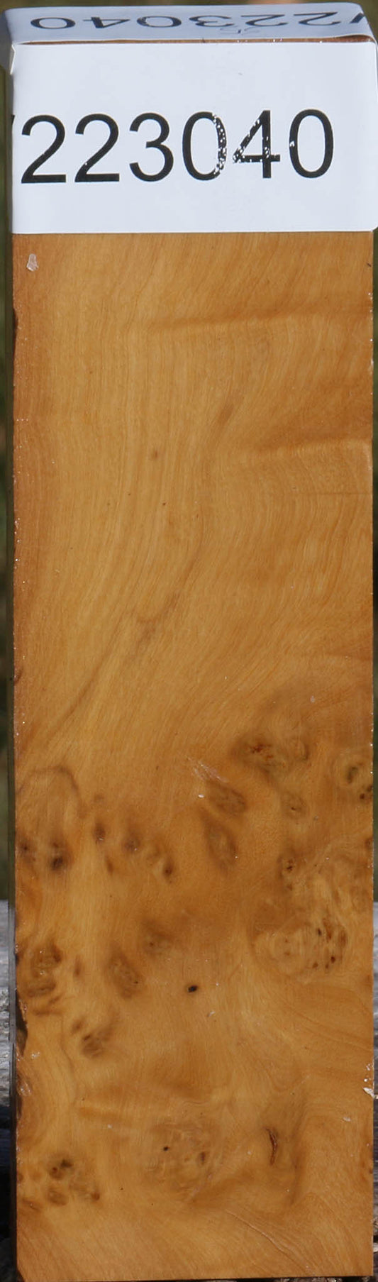 Hopea Stone Burl Lumber