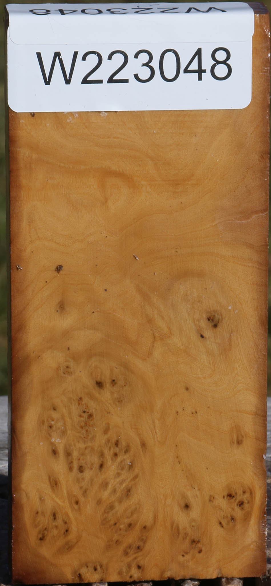 Hopea Stone Burl Lumber
