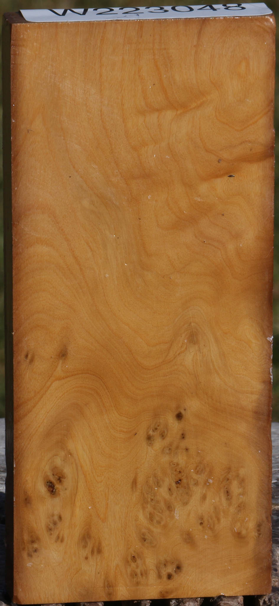 Hopea Stone Burl Lumber